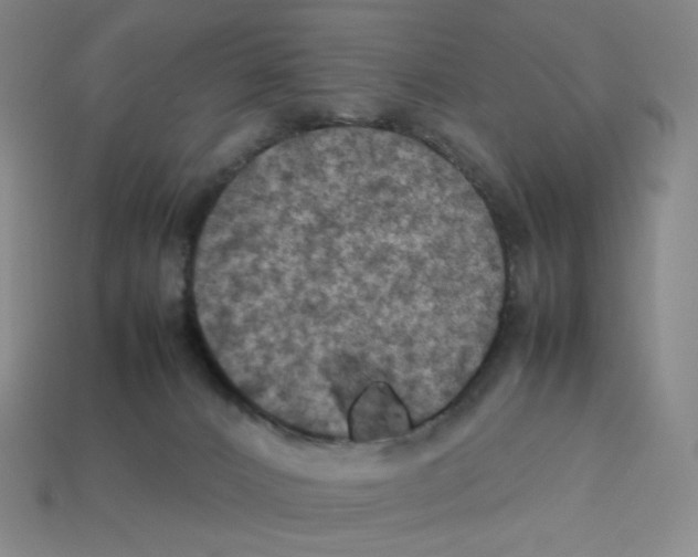 X0000112770032200910011246