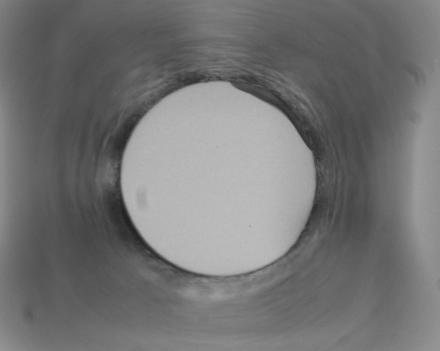 X0000112770033200910011246