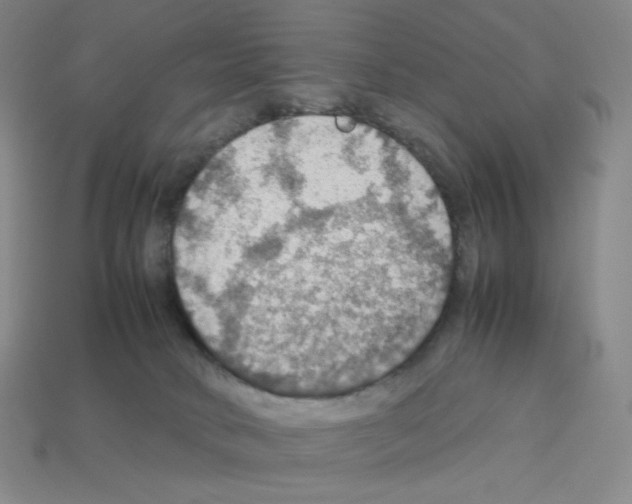 X0000112770034200910011246