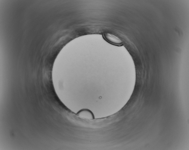 X0000112770035200910011246