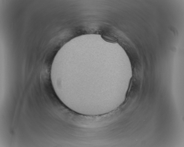 X0000112770037200910011246