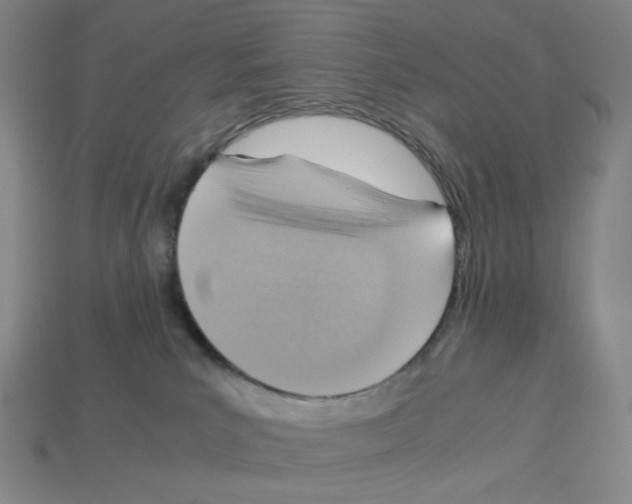 X0000112770039200910011246