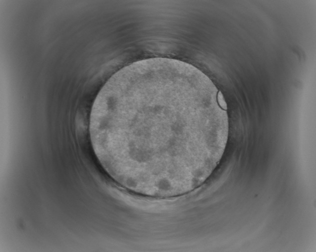 X0000112770040200910011246