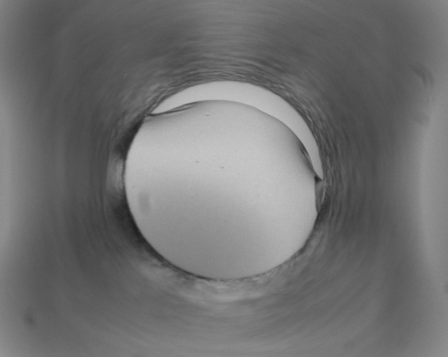 X0000112770041200910011246