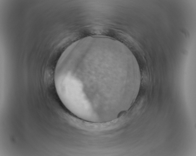 X0000112770043200910011246