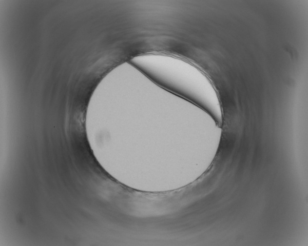 X0000112770045200910011246