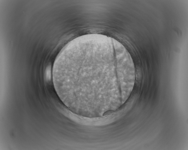 X0000112770046200910011246