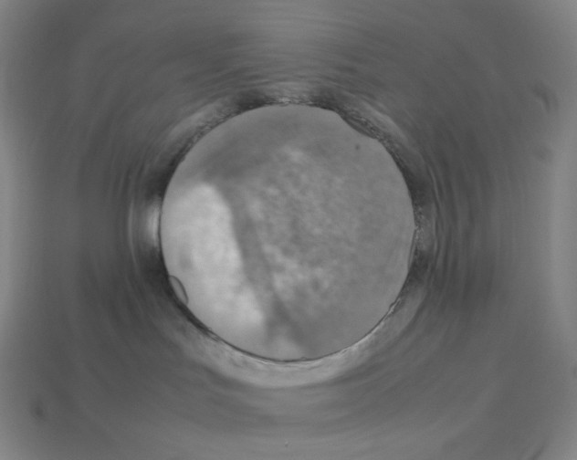 X0000112770047200910011246