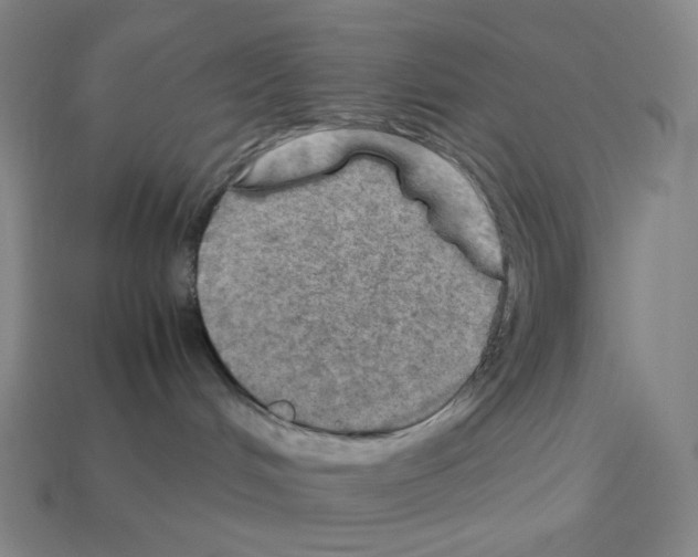 X0000112770048200910011245