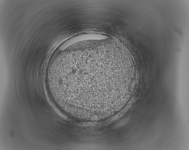 X0000112770049200910011245