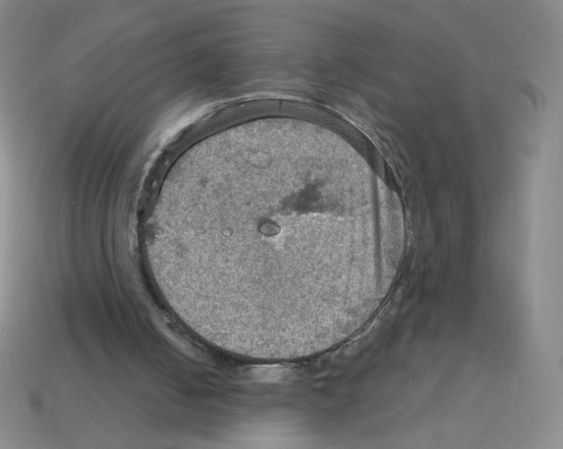 X0000112770050200910011245