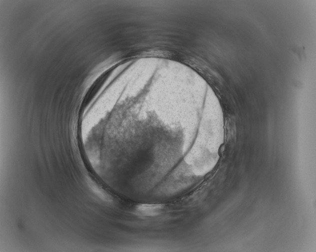 X0000112770051200910011245