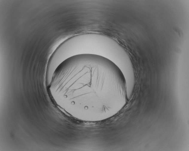 X0000112770052200910011245