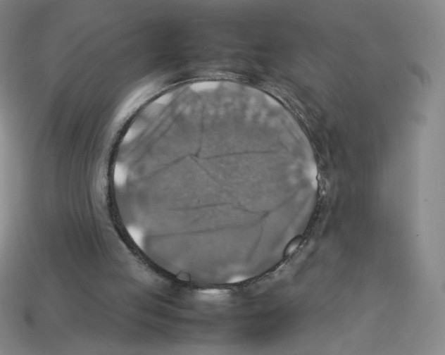 X0000112770053200910011245