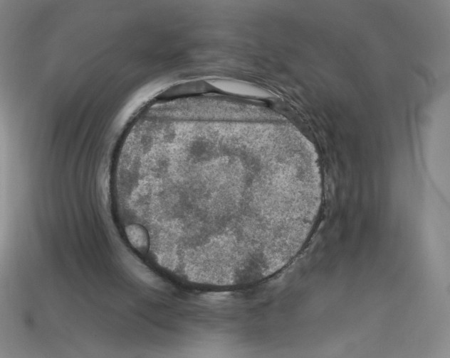 X0000112770054200910011245