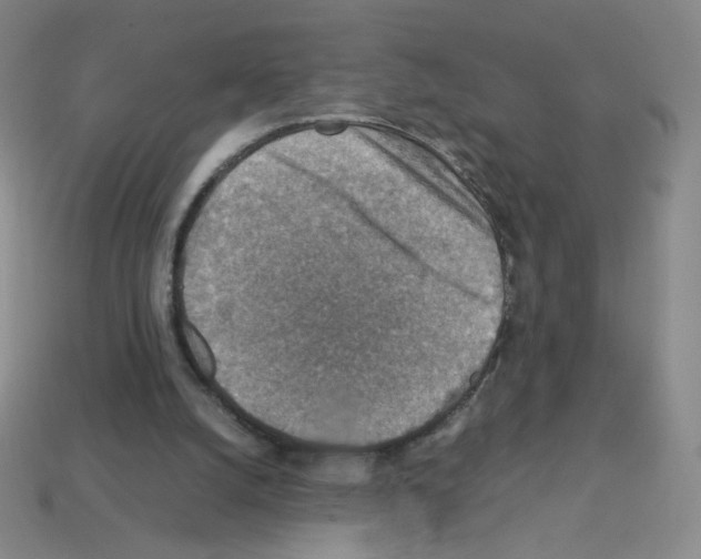 X0000112770056200910011245