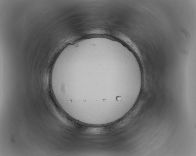 X0000112770057200910011245