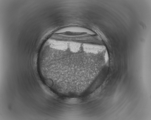 X0000112770058200910011245