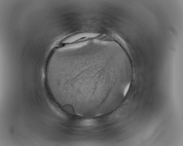 X0000112770059200910011245