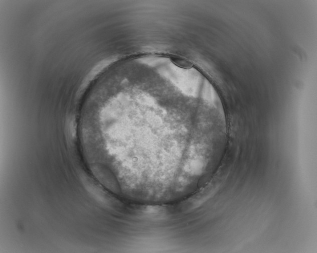 X0000112770060200910011245