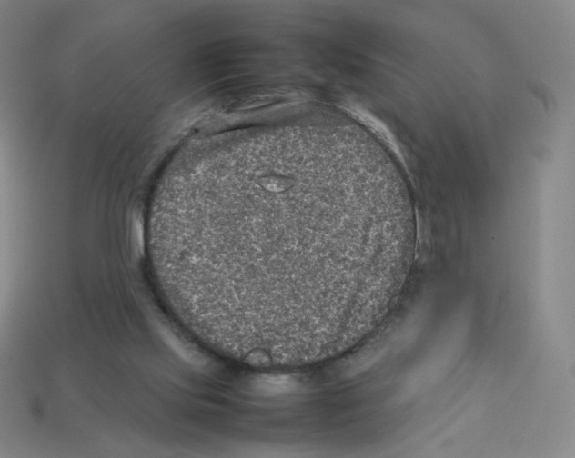 X0000112770061200910011245