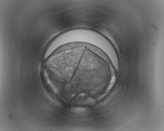 X0000112770063200910011245