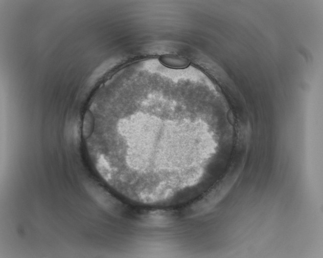 X0000112770064200910011245