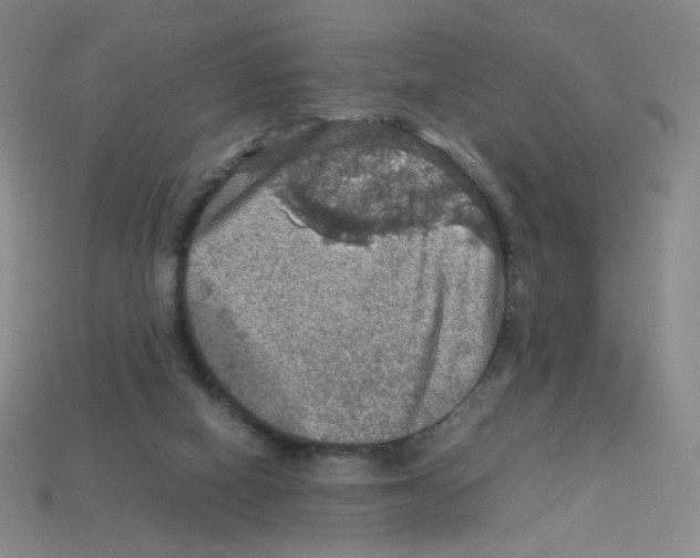 X0000112770066200910011245