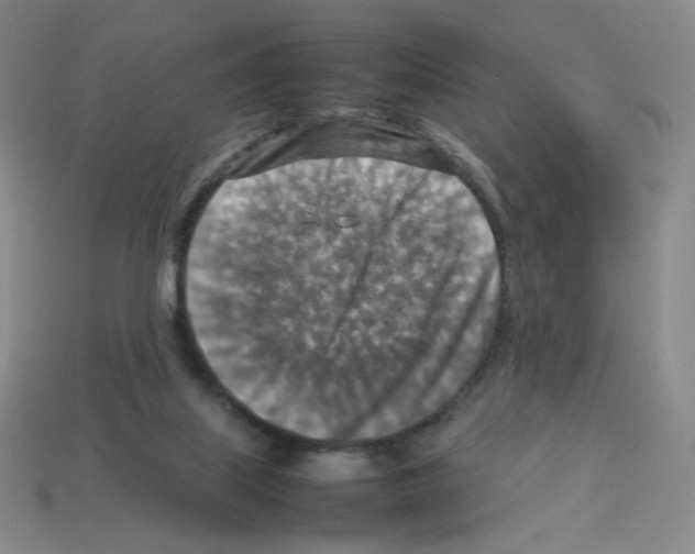 X0000112770067200910011245