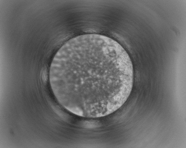 X0000112770069200910011245