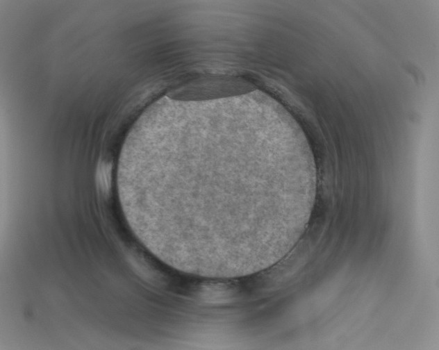 X0000112770070200910011245