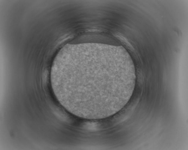 X0000112770071200910011245