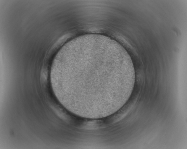 X0000112770072200910011245