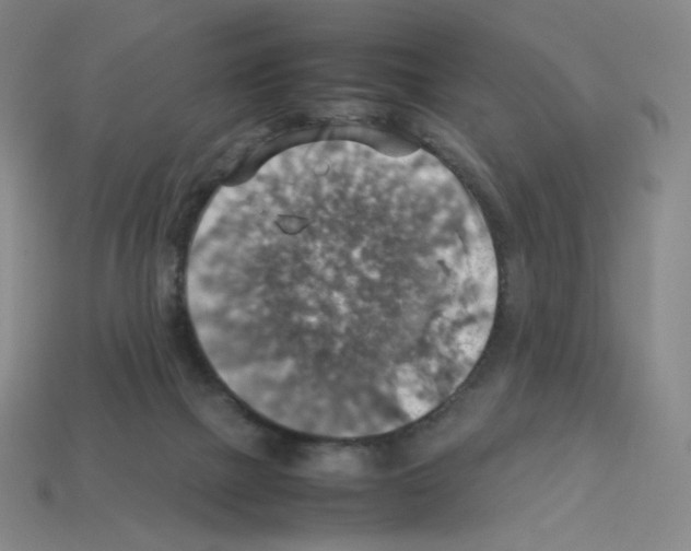 X0000112770073200910011245