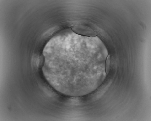 X0000112770076200910011245