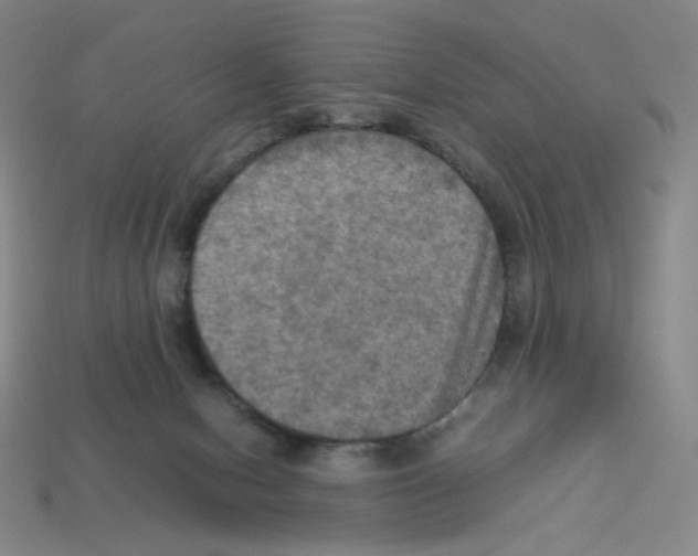 X0000112770078200910011245