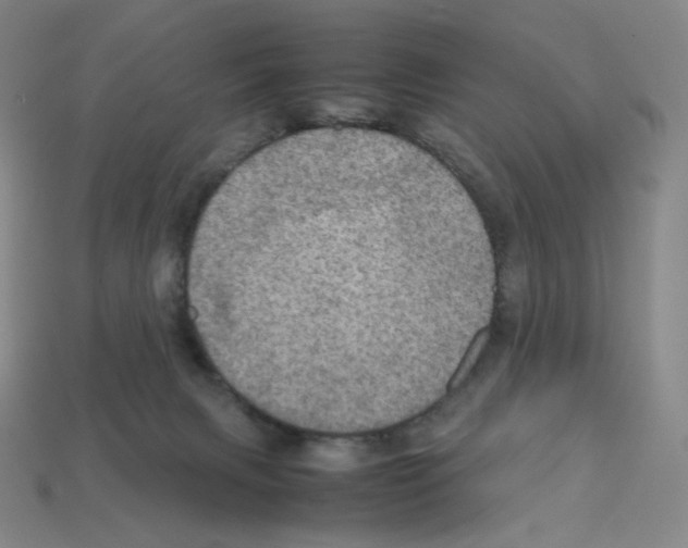 X0000112770079200910011245