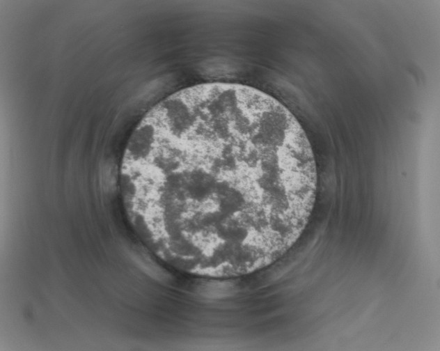 X0000112770081200910011245