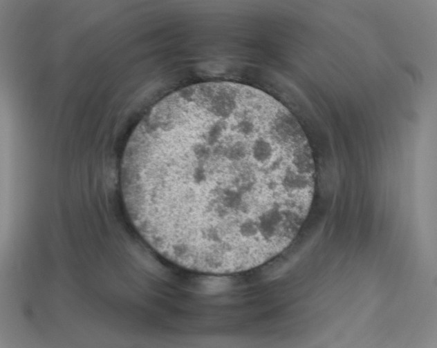 X0000112770085200910011245