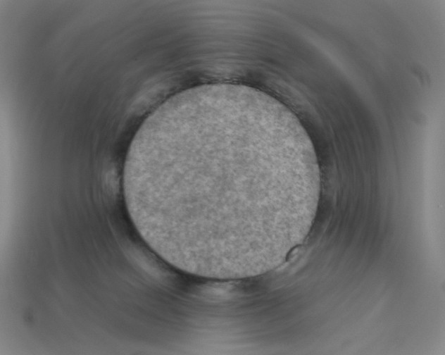 X0000112770086200910011245