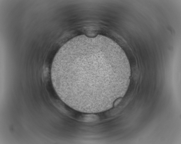 X0000112770087200910011245