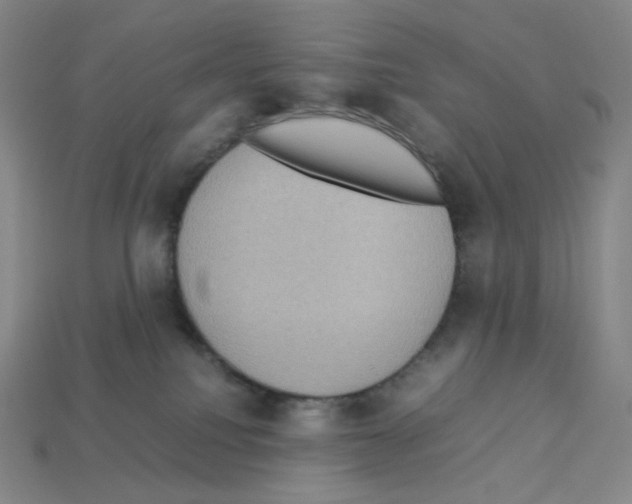 X0000112770088200910011245