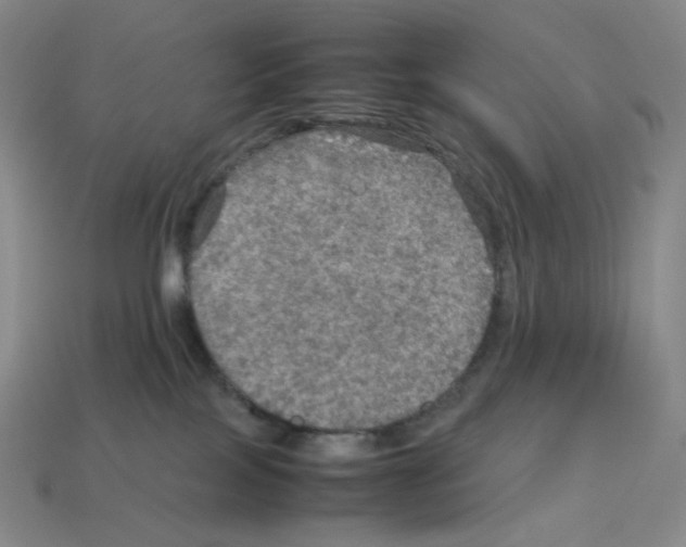 X0000112770089200910011245