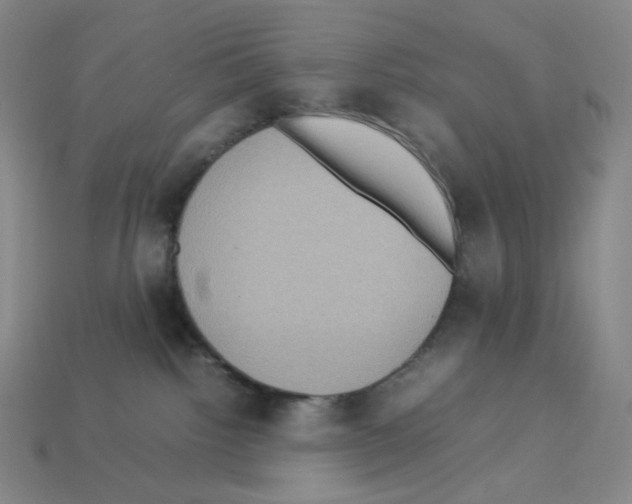 X0000112770092200910011245