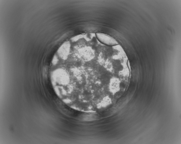 X0000112770093200910011245