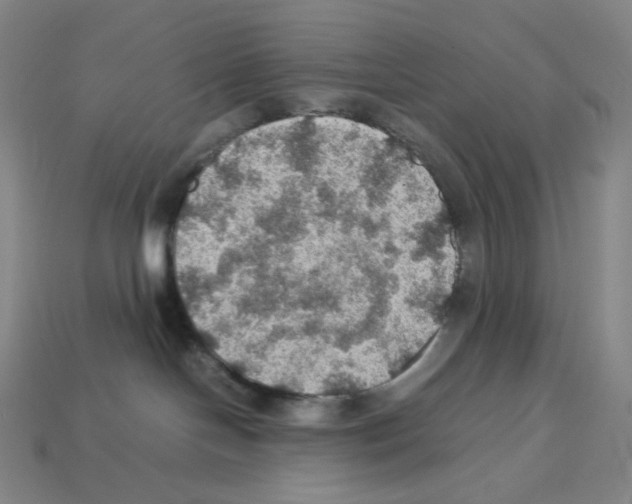 X0000112770094200910011245