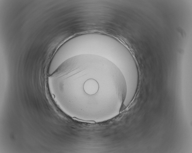 X0000112770097200910011245