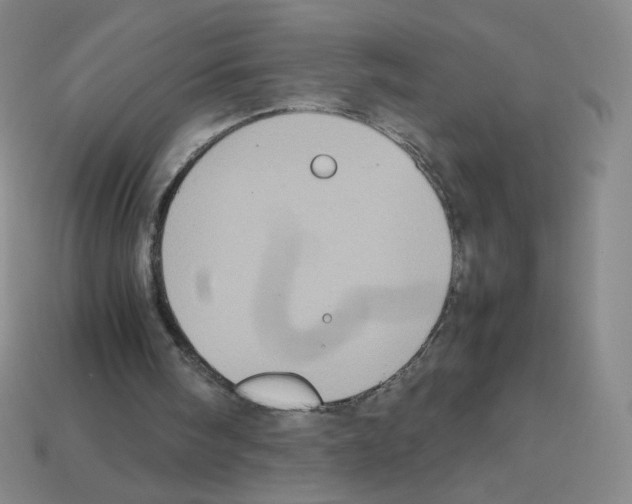 X0000112770098200910011245