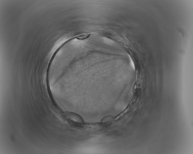 X0000112770099200910011245