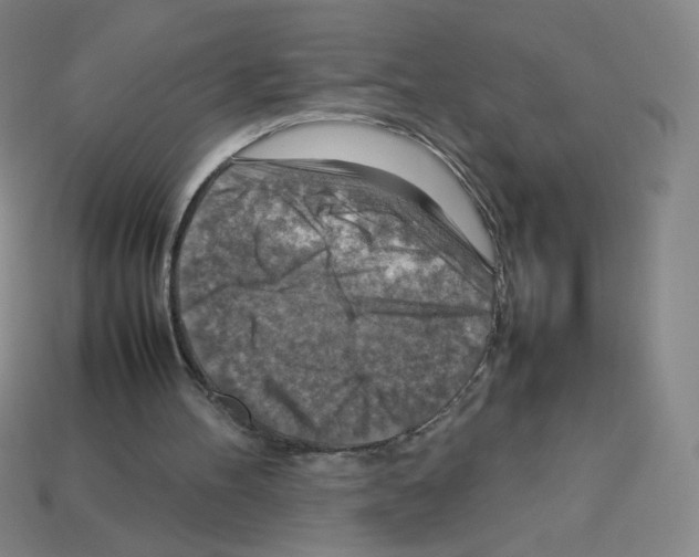 X0000112770100200910011245